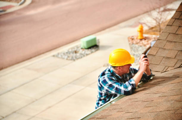 Best Roof Moss and Algae Removal  in USA